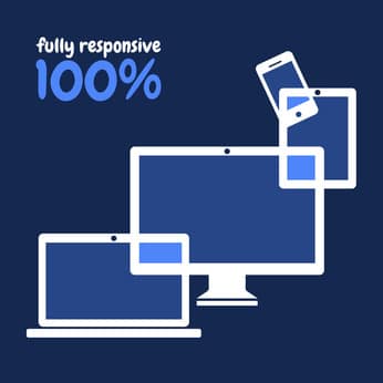 100% fully responsive website design